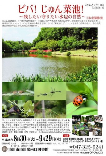 ビバ！じゅん菜池！～残したい守りたい水辺の自然～（日本の重要湿地指定地）