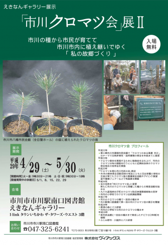 「市川クロマツ会」展Ⅱ